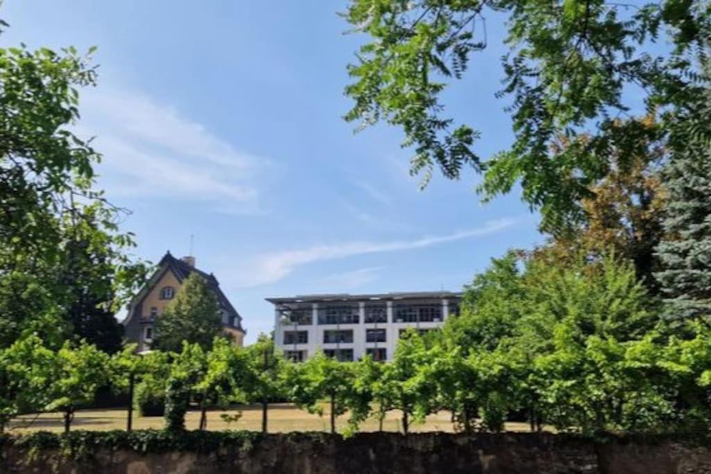 Wohnwerk: Penthouse - Moselblick Daire Traben-Trarbach Dış mekan fotoğraf